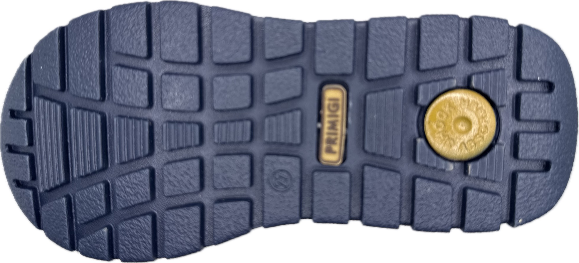 OBUV PRIMIGI 8895022 SCAMOSC/TECNIC/NAVY GTX